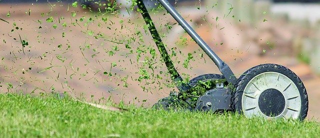 Tondeuse à gazon manuelle : bichonnez votre pelouse tout en douceur