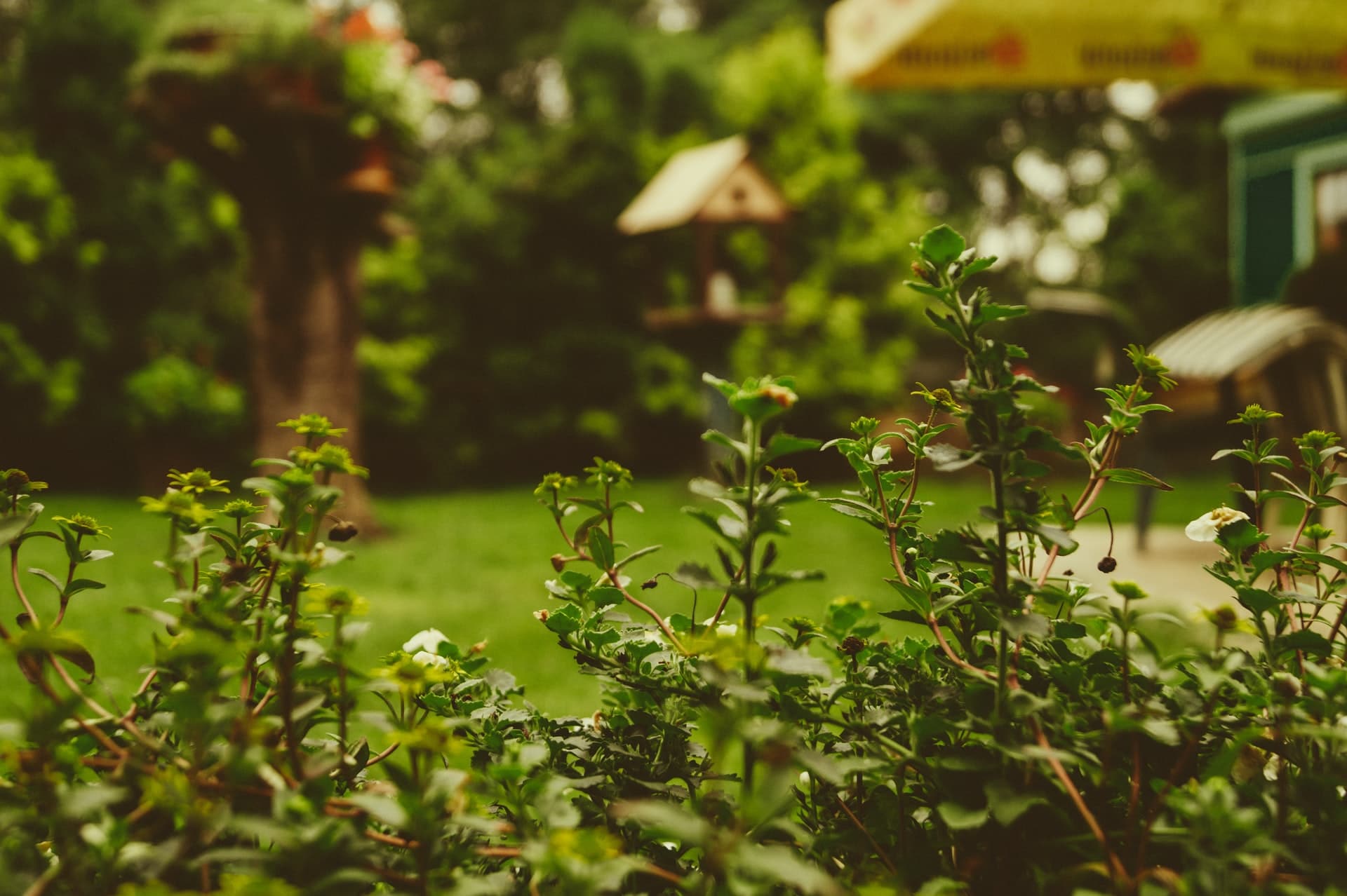 Où acheter son matériel de jardin ?