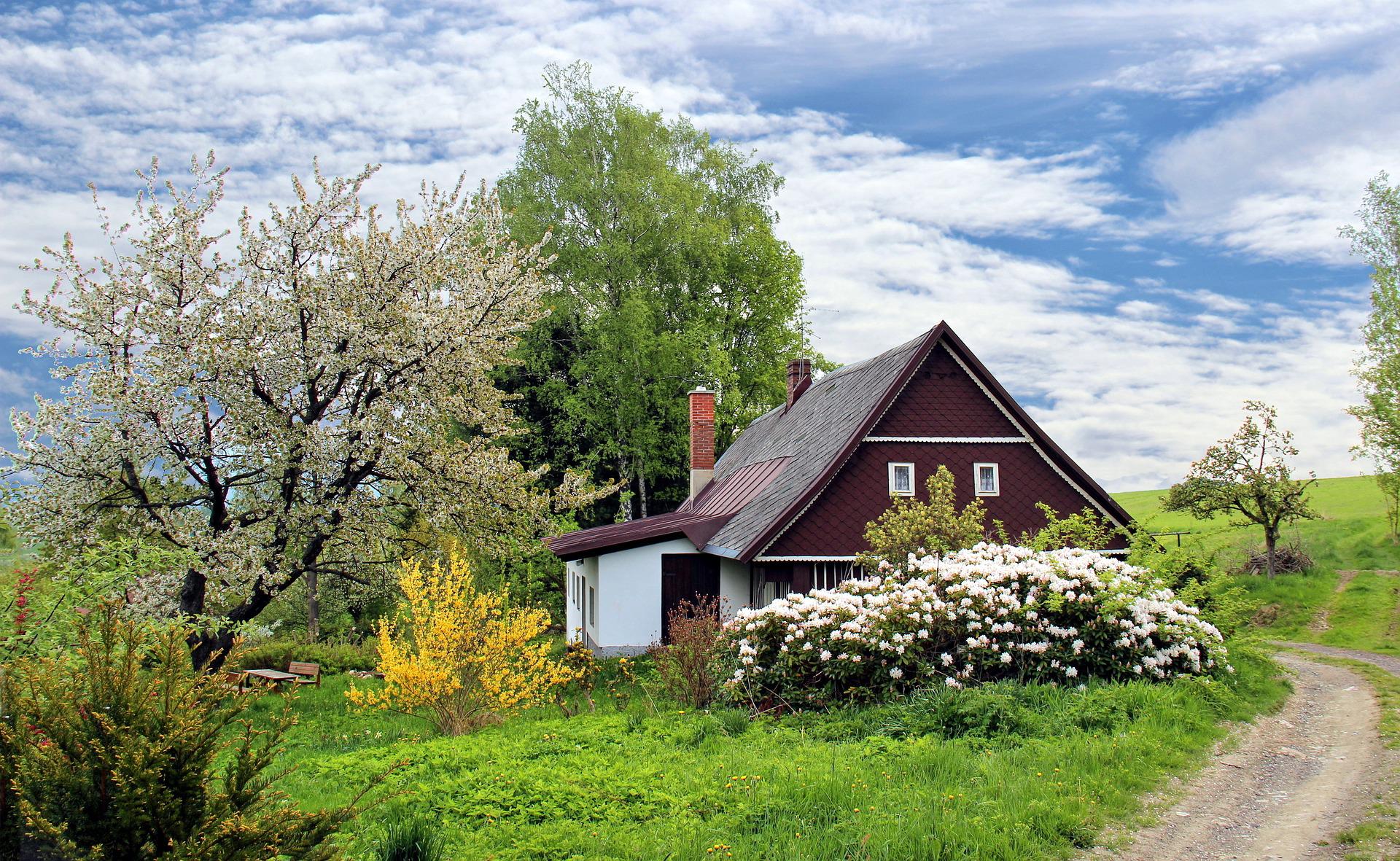 Comment prendre soin de son jardin en automne ?